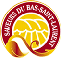 logo saveurs